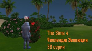 Эволюция в The Sims 4 БЕЗ МОДОВ 38 серия