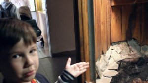 Зоопарк для детей - Даник и Леша кормят животных в зоопарке / Дети и животные