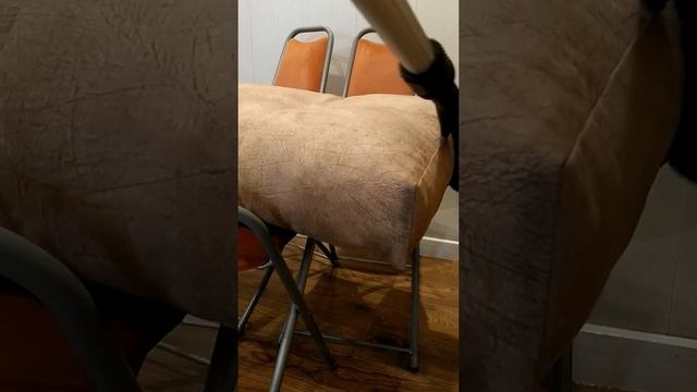 химчистка подушек из магазина смотреть онлайн