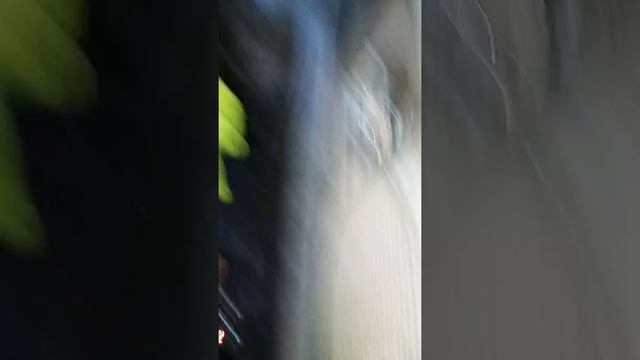 Voltage Regulator Fix D21 Hardbody Pathfinder/Any car, it's not the internal regulator! смотреть онлайн