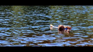 Река ПИСТАЙОКИ, фильм 1