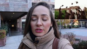 Переехала из Майами в Сиэтл. Часть 2. Плюсы Сиэтл, Вашингтон, США