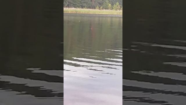 Клёвый клёв смотреть онлайн