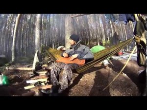 Гусли.Летели облака