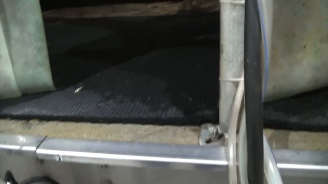 Доильный зал КФХ "Герефорд" 8 месяцев спустя