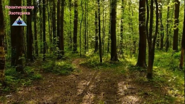 Как вернуть свою энергию ✵ Почему человек теряет жизненную энергию ✵ Энергия в жизни человека смотреть онлайн