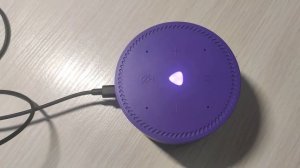 Распаковка — Умная колонка Яндекс Станция Лайт YNDX-00025P