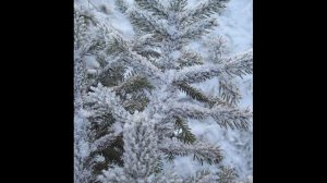 а на улице мороз(1).mp4