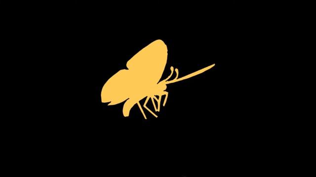 far (flute cover) смотреть онлайн