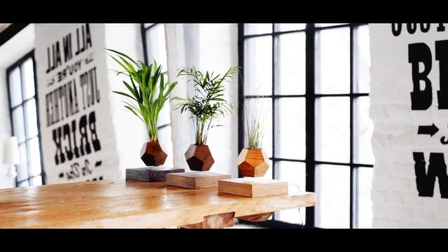 левитирующее растение смотреть онлайн