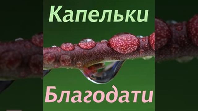 Радиопередача | РАССКАЗ "Дженифер" часть 1| ?Капельки благодати? смотреть онлайн