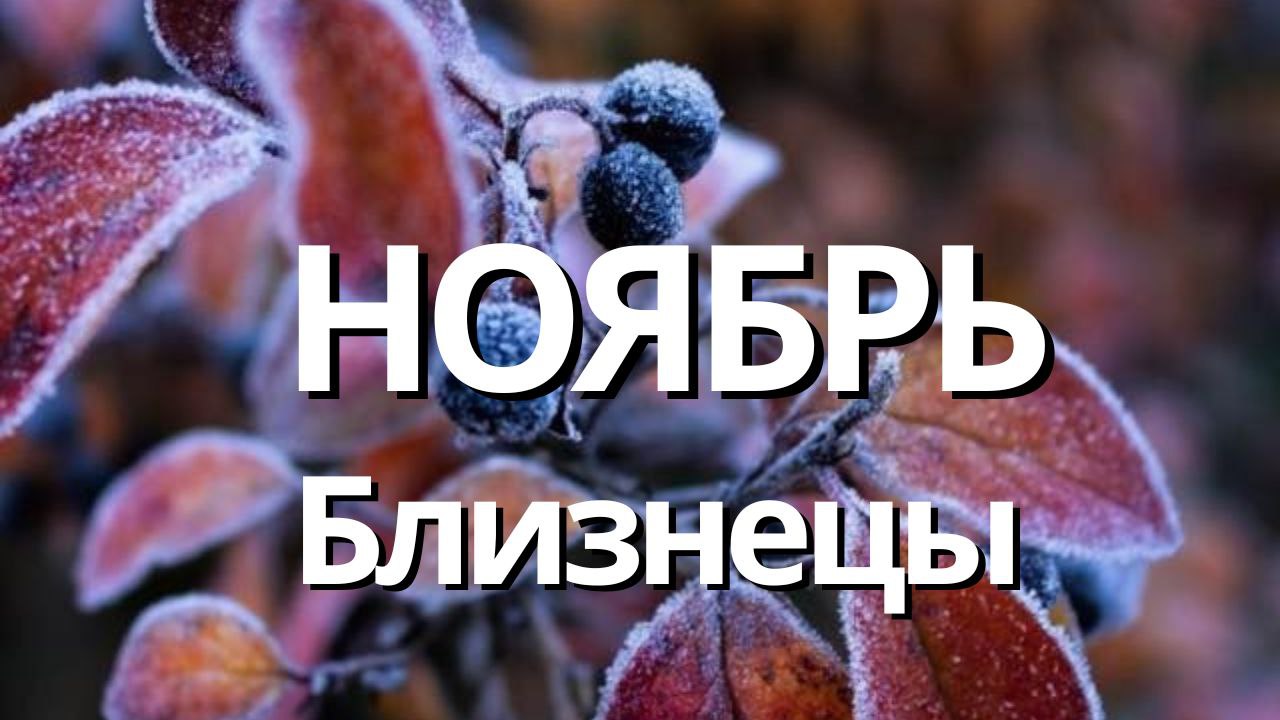 БЛИЗНЕЦЫ НОЯБРЬ 2023 [Таро прогноз]