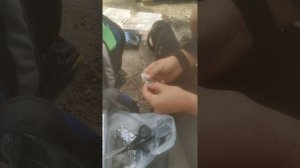 Объяснение от Славы как делать наживку из кальмара на Тарахонов