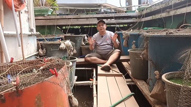 PADA MESIN BLOWER AERATOR KECIL SKALA RUMAHAN, APAKAH DIPASANG BATU AERASI, DIFFUSER ATAU UNIRING смотреть онлайн