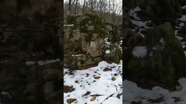 Подкормка животных в заказнике Стрижамент. 04.02.2020 смотреть онлайн