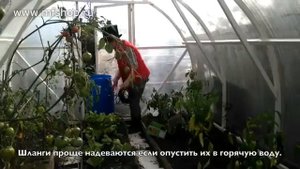 Система автоматического полива "СИНЬОР ПОМИДОР" на солнечной батарее