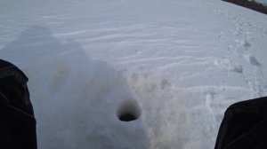 Где и как ловить рыбу? Разбираемся .