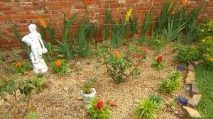 Gladiolas and 4 o'clocks