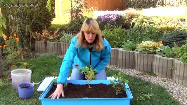 Домашний огород (ч.1). Травы. смотреть онлайн