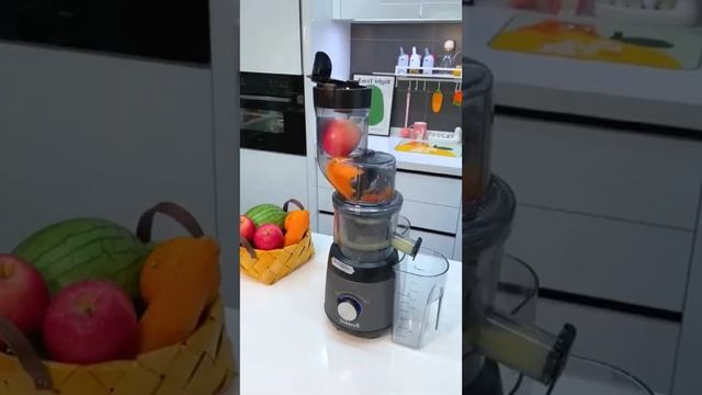 All in one Juicer