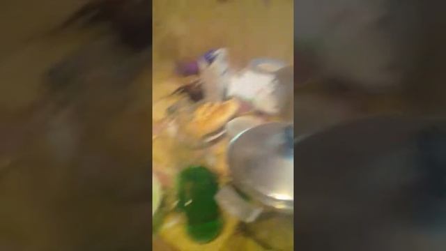 Из торхуна можно сделать желе 1 смотреть онлайн