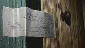 Муж в - Чечне, жена – запое… погубила и себя, и сына