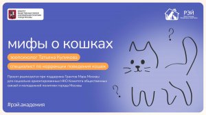 Мифы о кошках