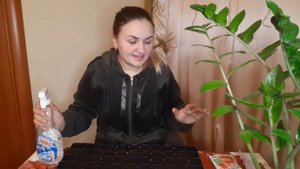 Анютины глазки / ПОСЕВ ВИОЛЫ НА РАССАДУ В КАССЕТАХ / БЕЗ ПРОБЛЕМ И ПИКИРОВКИ / КАК ПОСЕЯТЬ ВИОЛУ