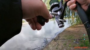 ловля карпа весной