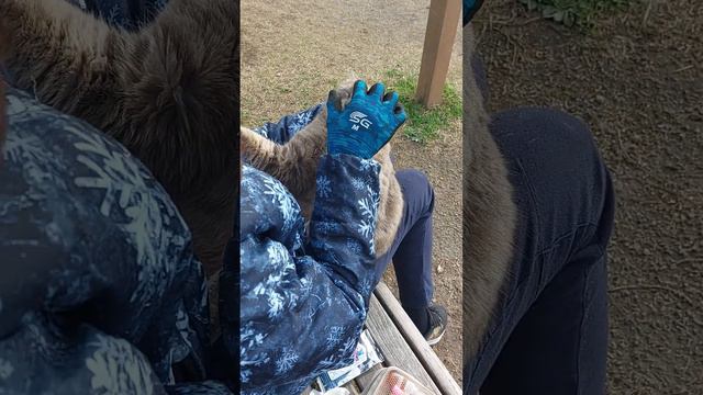 グレーちゃん目やにが出てたので目薬タイム❗お利口さんにさせてくれました❤️パチパチ👀 смотреть онлайн