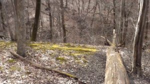 Тропа до колеса обозрения- маршрут выходного дня на 2 часа в Горячем Ключе