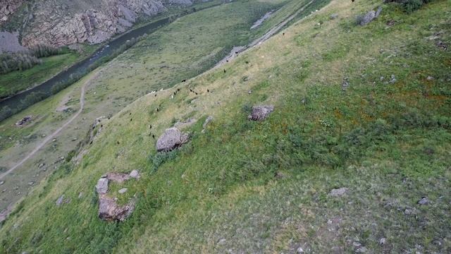 Горный Алтай Долина реки Чулышман