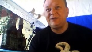 Крабы в аквариуме уход и содержание