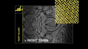 Teddy Killerz - Night Train