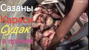 Аборигенка. Жизнь в глубинке. Привезли рыбу. Сына приехал с рыбалки. Прокатили с ветерком.
