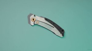 Kershaw Link 1776