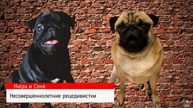 новости12
