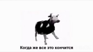 ПОЛЬСКАЯ КОРОВА(ПЕРЕВОД ПЕСНИ)