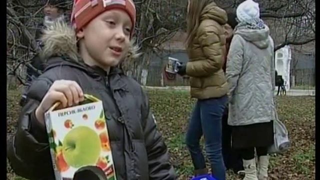 Школьники повесили кормушки для птиц в Детском парке смотреть онлайн