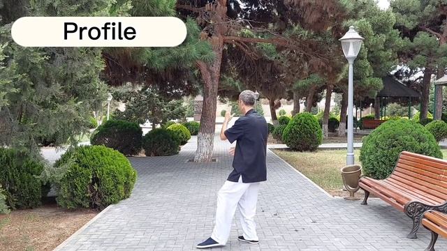 24 forma Tayçi - Form 4 Lou si ao bu