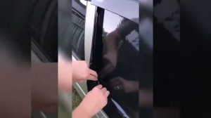 Как самостоятельно наклеить тонировку ?