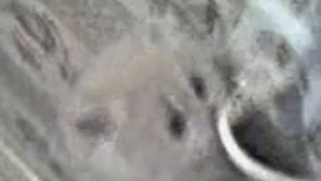 ну сколько можно играть я есть хочу смотреть онлайн