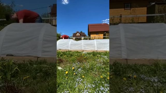 Парник садовый для дачи / огорода / спанбонд / минитеплица 4 5 6 метров. Сделано в России