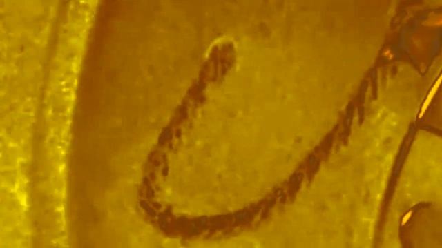 Стерео колонка из старого телевизора Своими руками смотреть онлайн