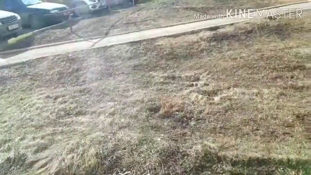 #надаче Сегодняшний день..Были на даче. Протекает емкость .. смотреть онлайн