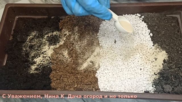 САЖАЮ ПЕРЕЦ БЕЗ ЗАМОРОЧЕК! ПОСЕВ СЕМЯН ПЕРЦА НА РАССАДУ В СТАКАНЧИКИ С ГРУНТОМ ДО ПЕРЕВАЛКИ смотреть онлайн