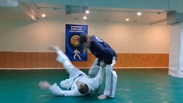 Всемирная фелерация джиу-джитсу и кобудо смотреть онлайн