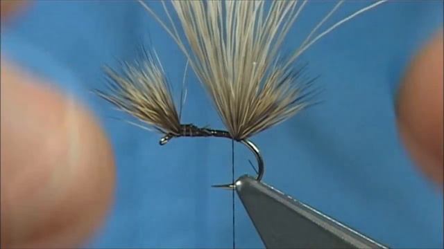 Tying a Tom Thumb/Double Humpy with Davie McPhail смотреть онлайн