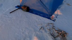 Ловля корюшки и наваги зимой 2022. Рыбалка на Татарском проливе зимой 2022.