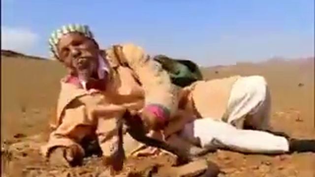 Мужчина не боится все любых змеях. смотреть онлайн